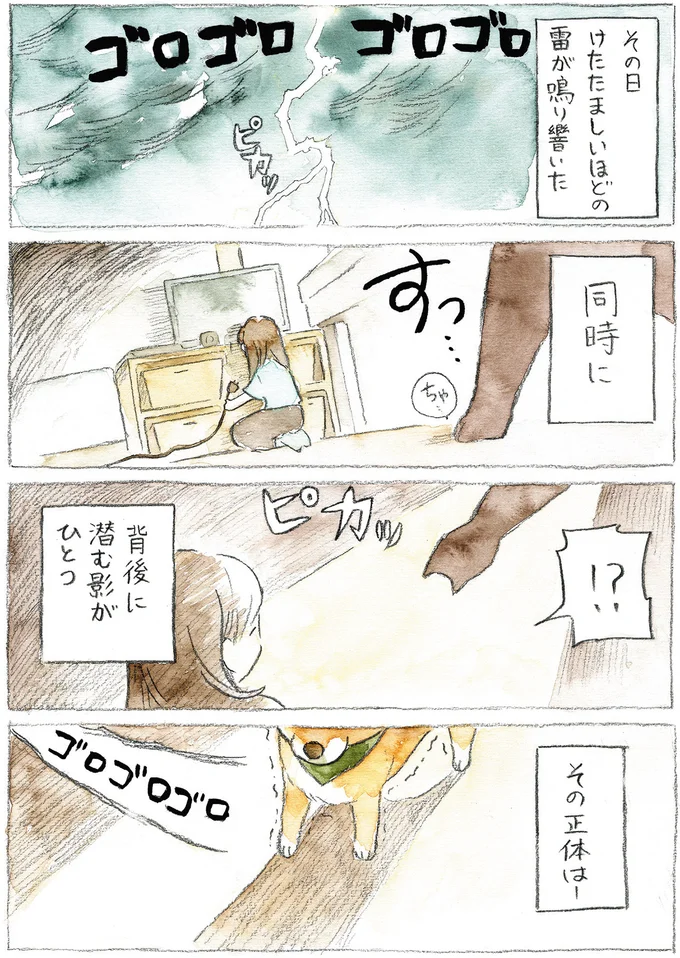 『柴犬ぽんちゃん、今日もわが道をゆく』（33）