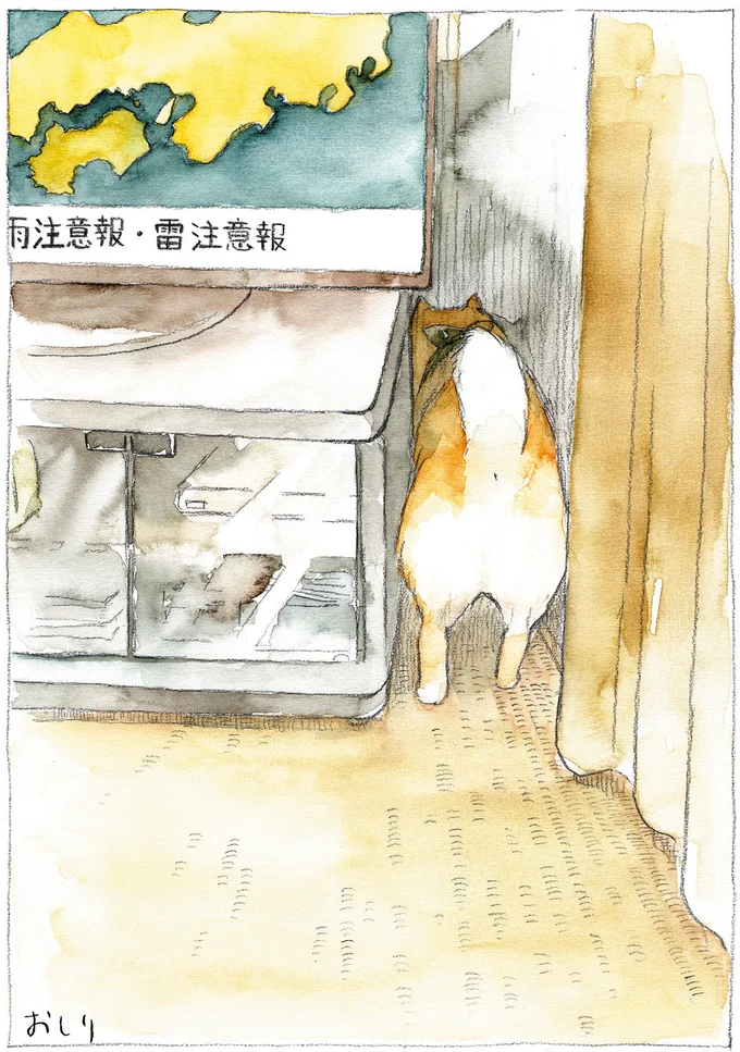 『柴犬ぽんちゃん、今日もわが道をゆく』（38）