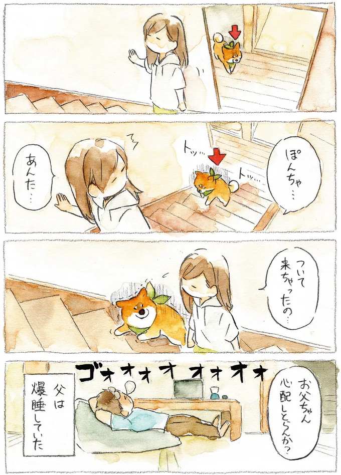 『柴犬ぽんちゃん、今日もわが道をゆく』（40）