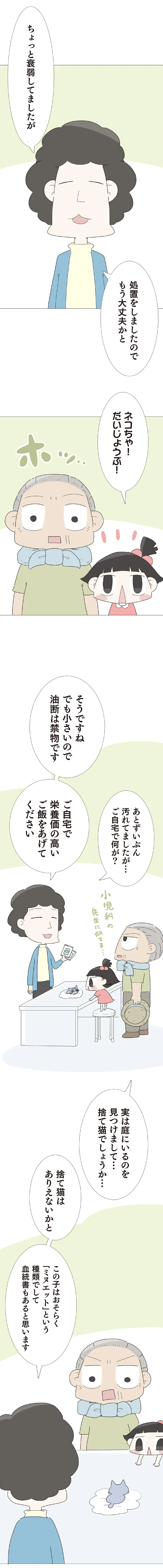 『ハルとゲン 70歳、はじめての子育て 1』（212）