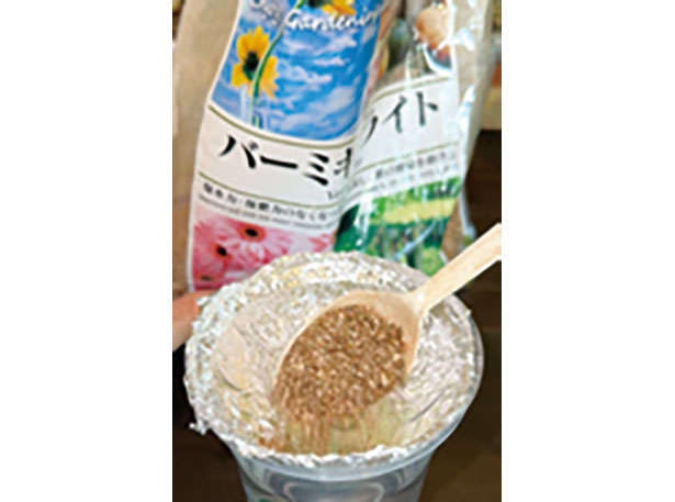 カフェや100均で手に入る「プラカップ」を使って、葉物野菜やハーブを栽培しよう！（7）