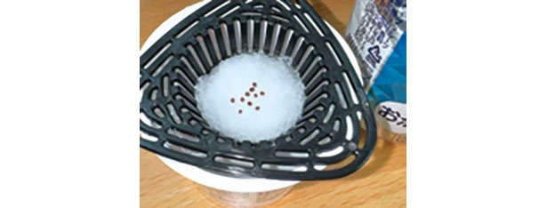 「水菜」は自宅で育てる！たくさん収穫するための「プラカップ」を使った栽培方法を紹介（14）