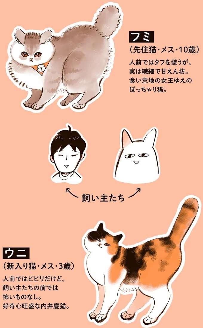 『うちの猫は仲が悪い』（2）