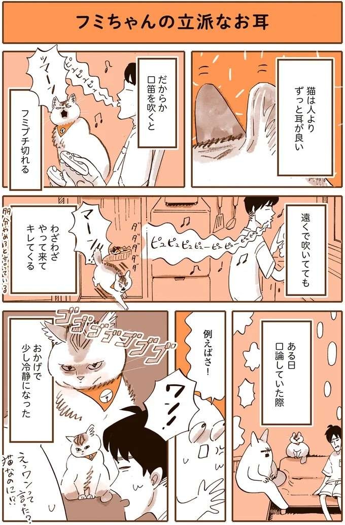 『うちの猫は仲が悪い』（3）