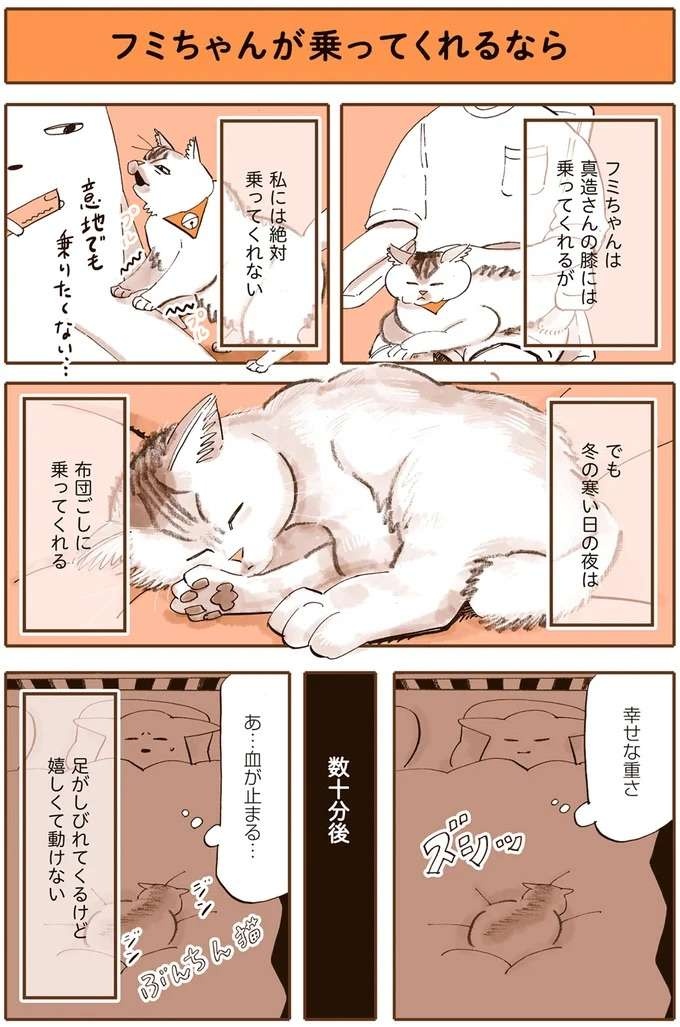 『うちの猫は仲が悪い』（4）