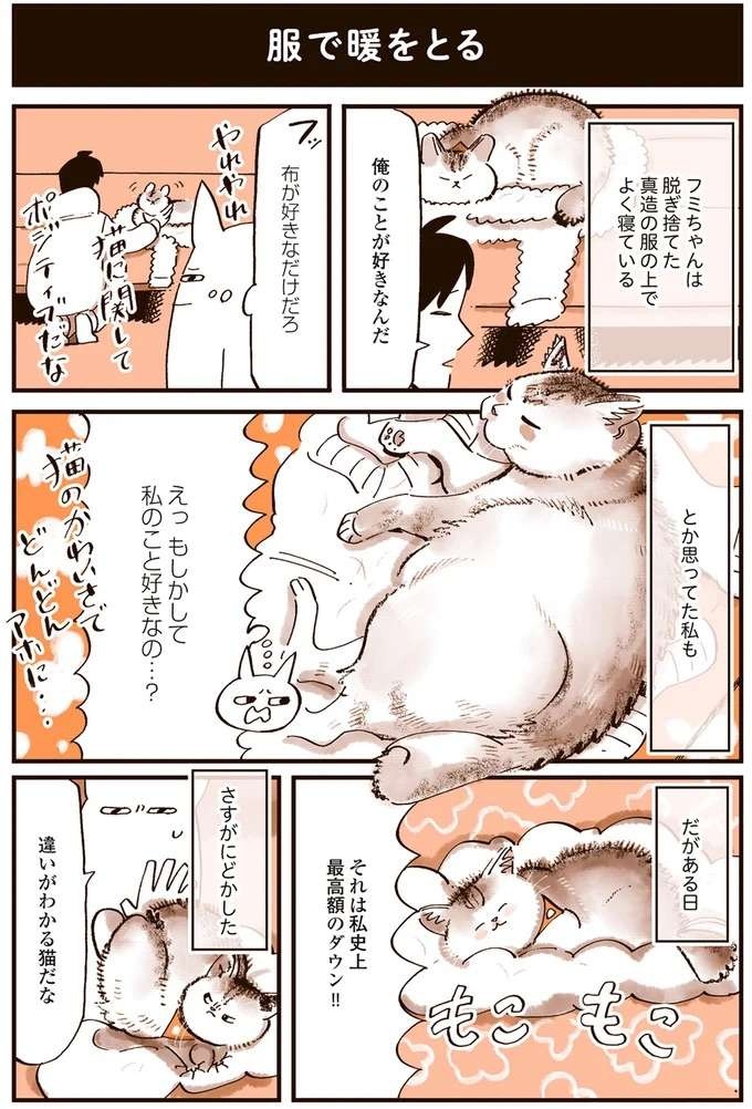 『うちの猫は仲が悪い』（5）