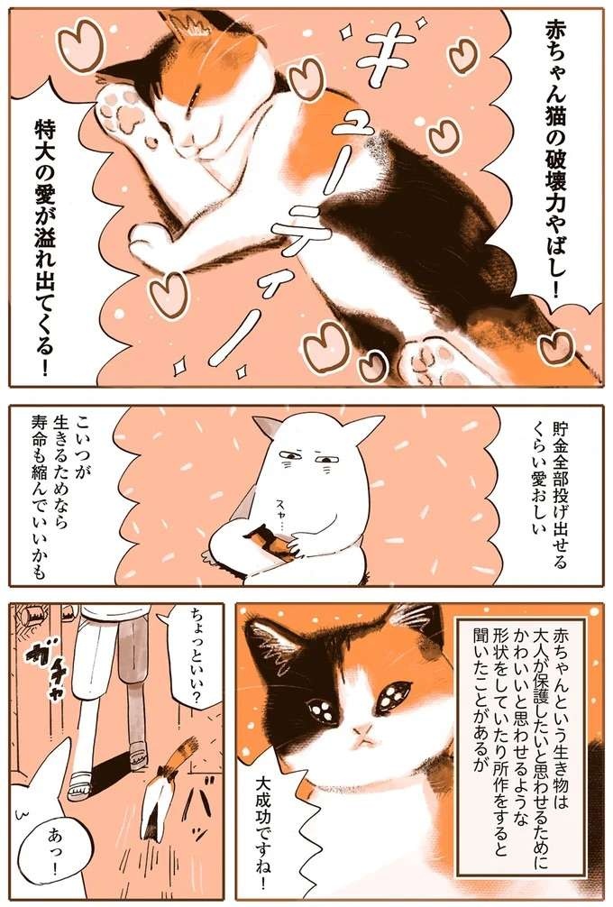 『うちの猫は仲が悪い』（8）