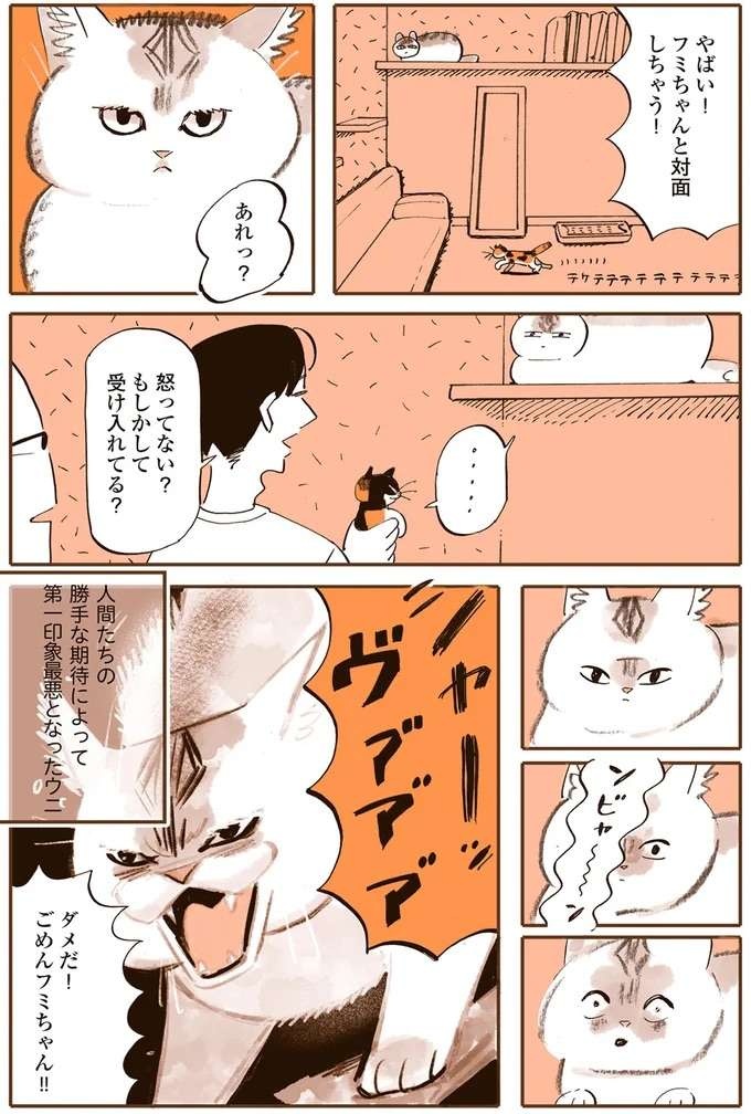 『うちの猫は仲が悪い』（9）