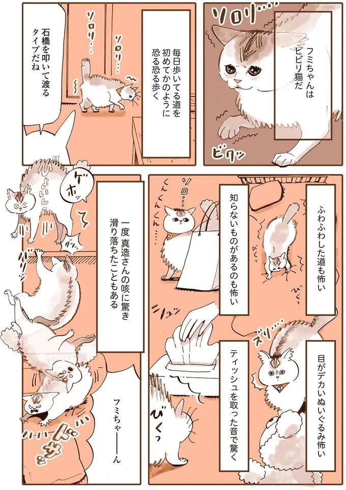 『うちの猫は仲が悪い』（13）