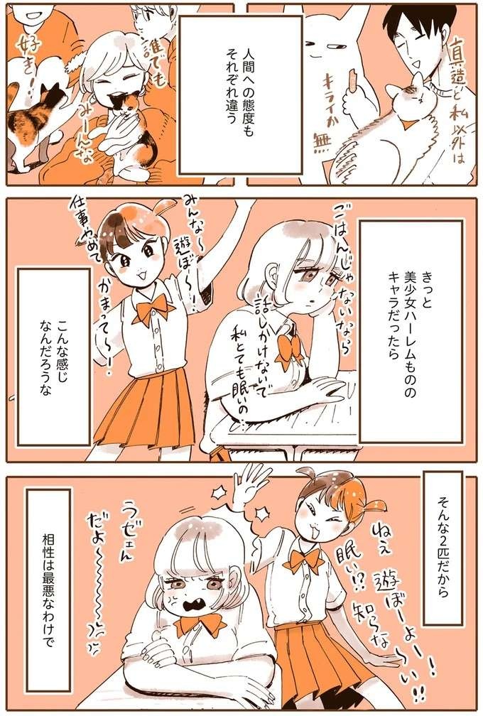 『うちの猫は仲が悪い』（15）