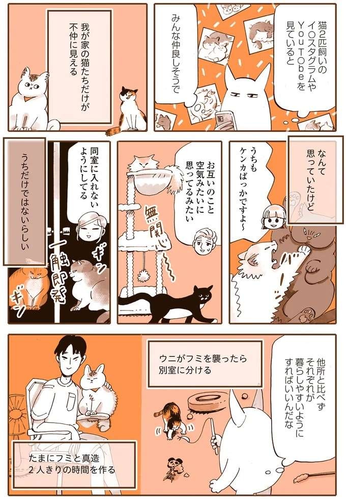 『うちの猫は仲が悪い』（16）
