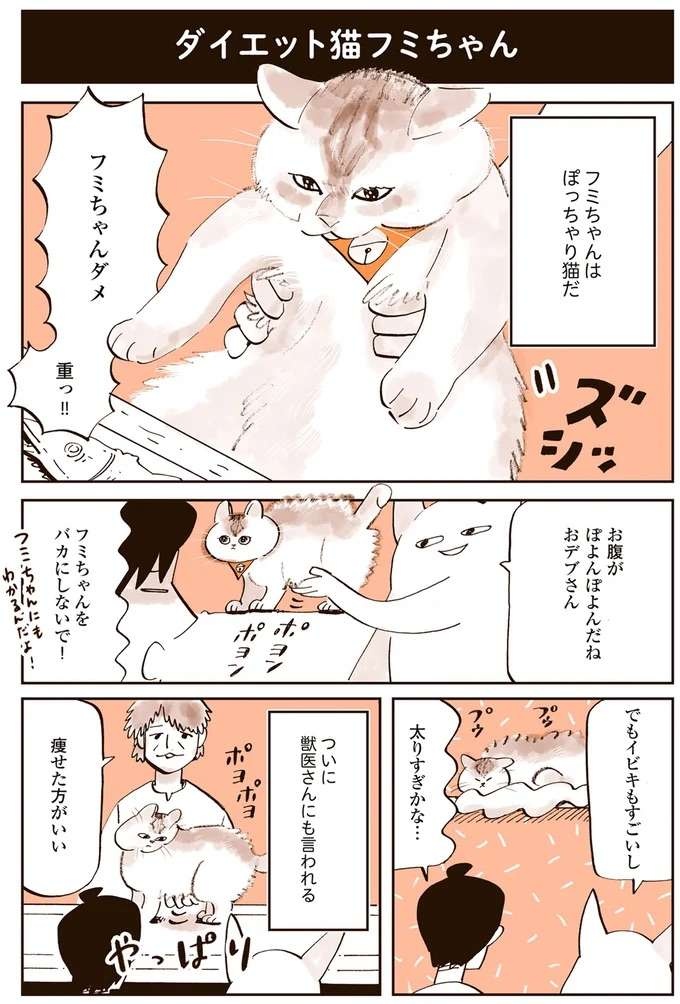 『うちの猫は仲が悪い』（18）