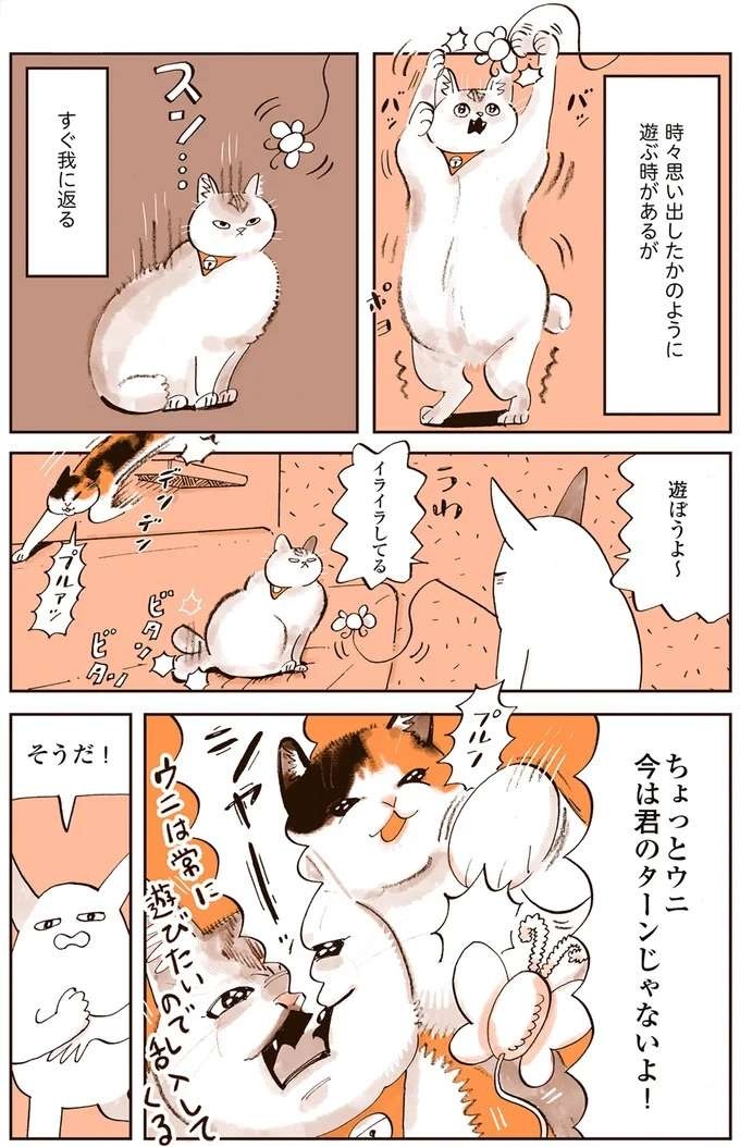 『うちの猫は仲が悪い』（21）