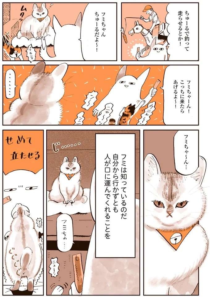 『うちの猫は仲が悪い』（22）