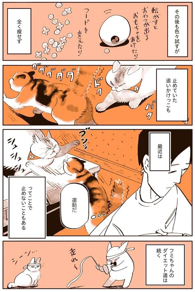 『うちの猫は仲が悪い』（23）