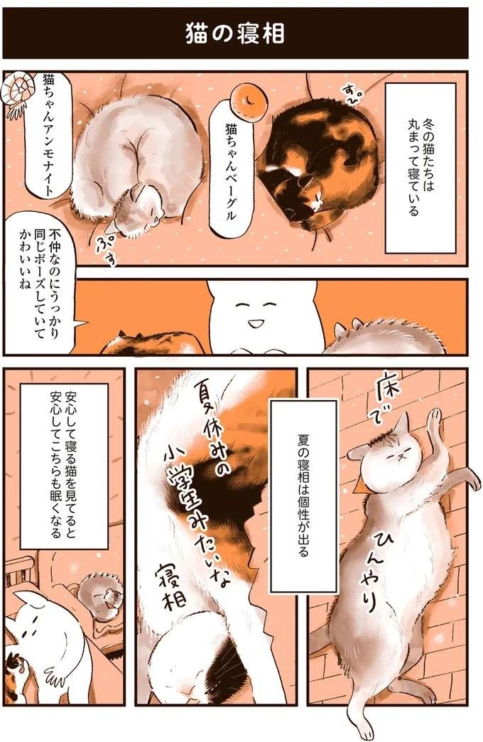 『うちの猫は仲が悪い』（24）