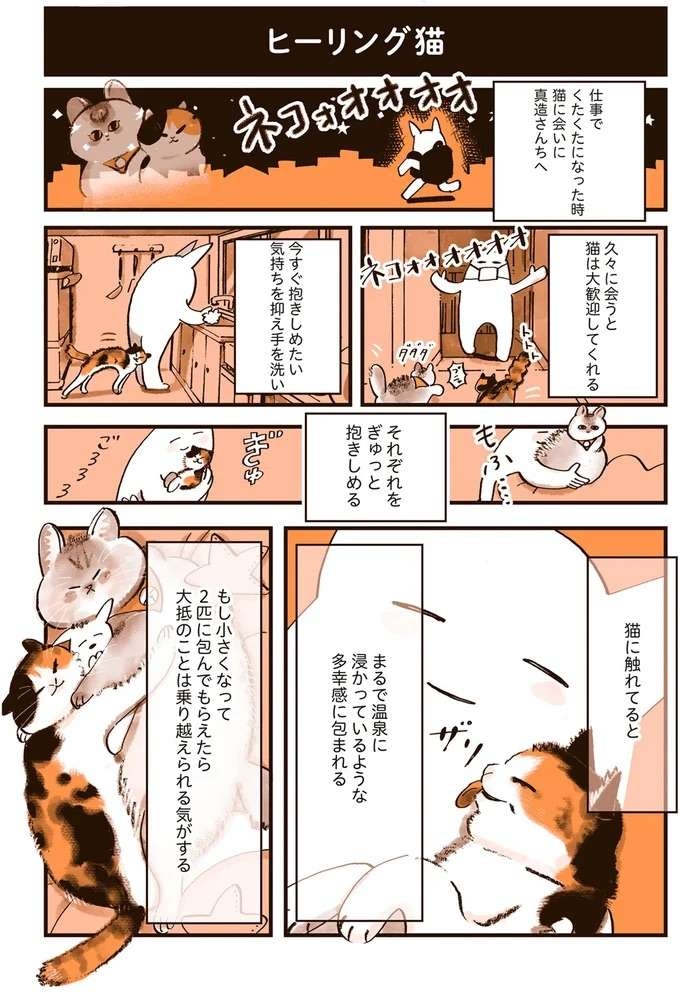 『うちの猫は仲が悪い』（25）