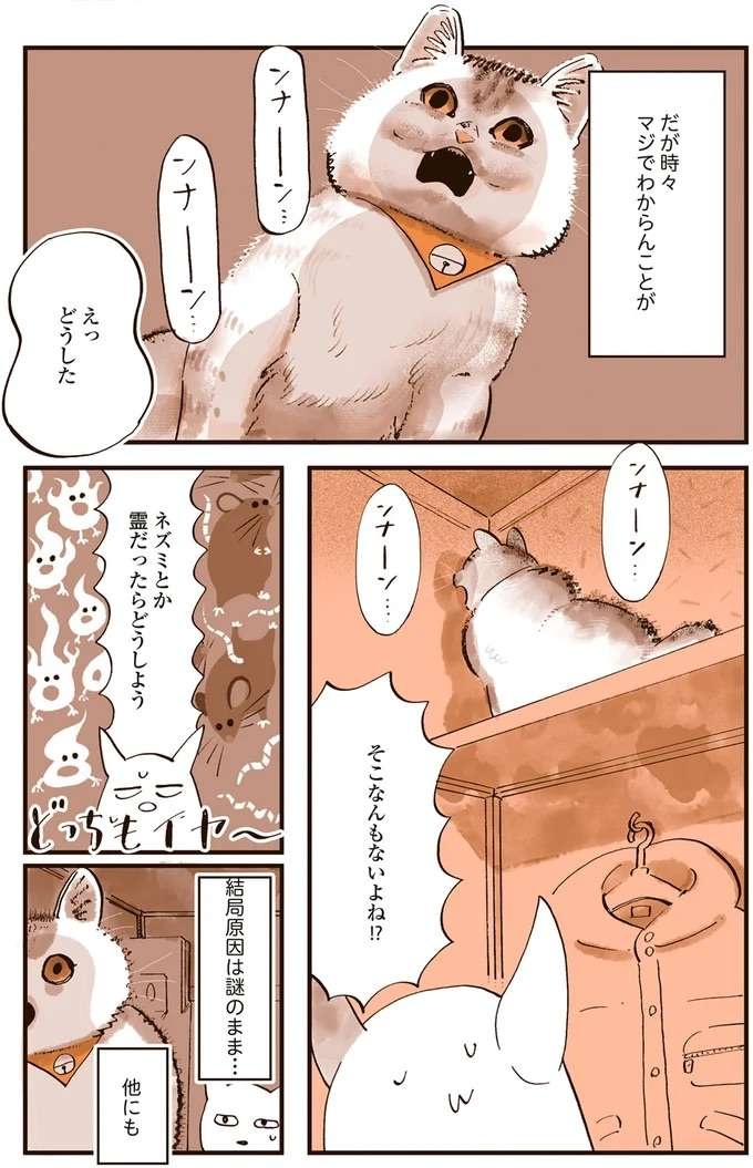 『うちの猫は仲が悪い』（28）