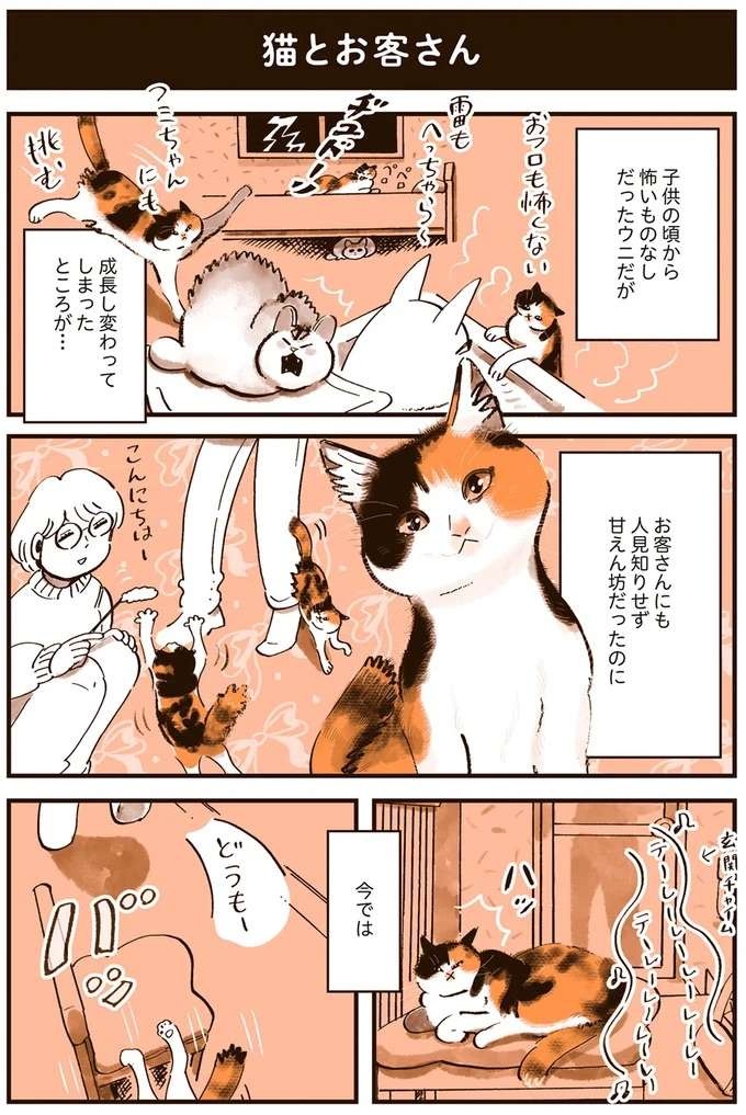 『うちの猫は仲が悪い』（31）