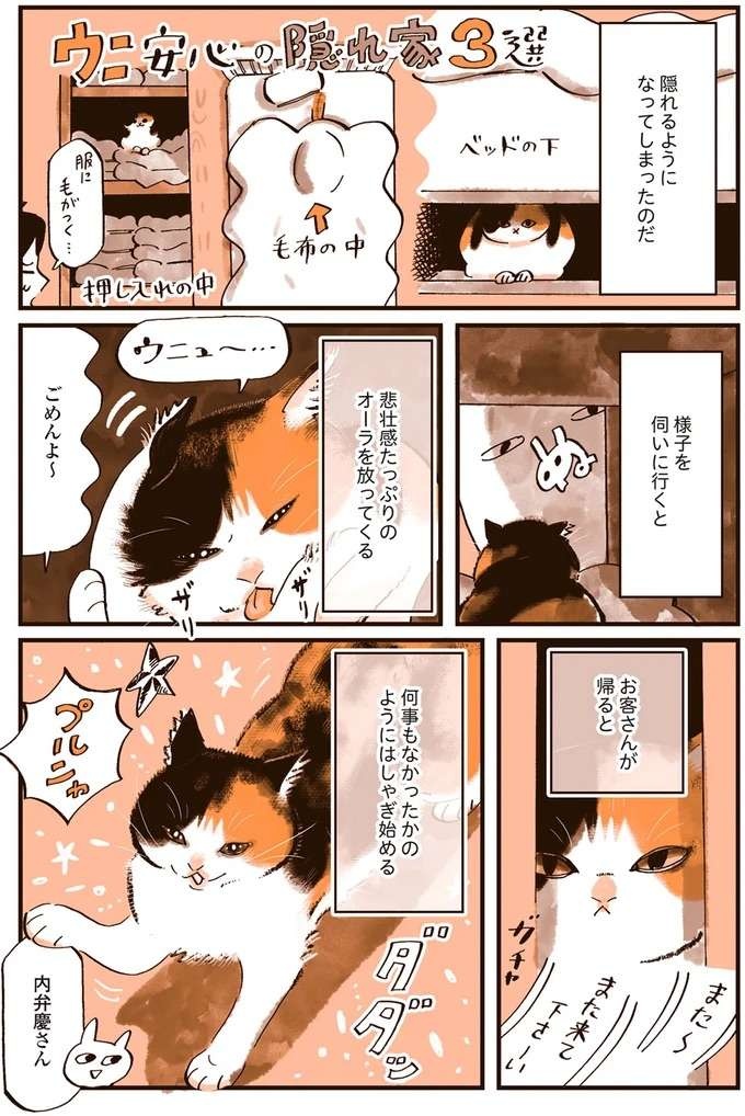 『うちの猫は仲が悪い』（32）