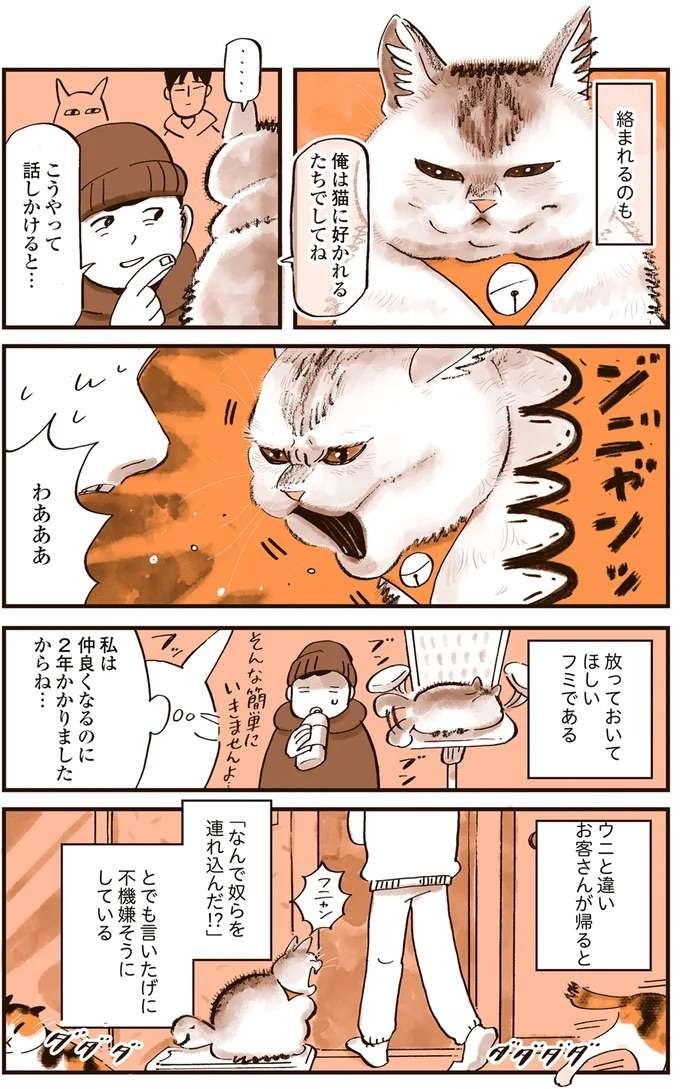 『うちの猫は仲が悪い』（34）