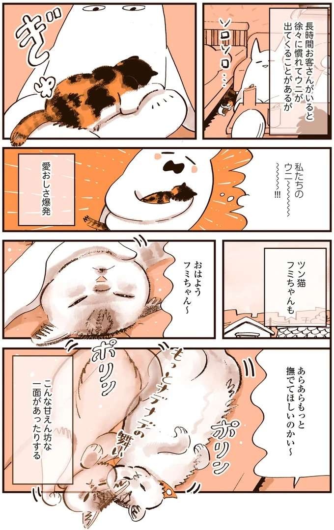 『うちの猫は仲が悪い』（35）