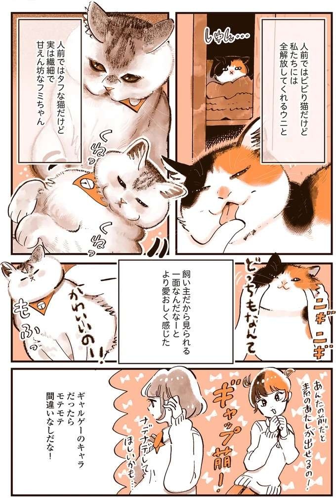 『うちの猫は仲が悪い』（36）