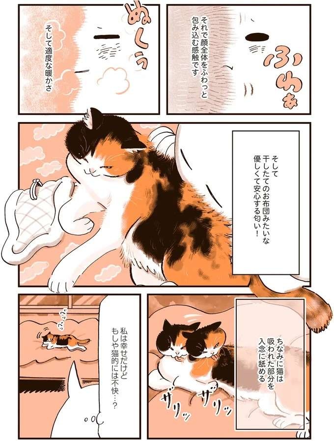 『うちの猫は仲が悪い』（39）