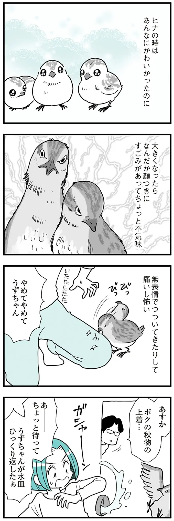 『うずら男　モラハラかまって夫が人間をやめるまで』（画像186/202枚目）