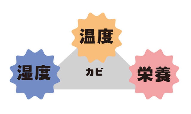 「水回り掃除」は 暑い季節だからこそ効果的！ 手間・力いらずの基本ワザ【人気掃除YouTuberが伝授】（11）