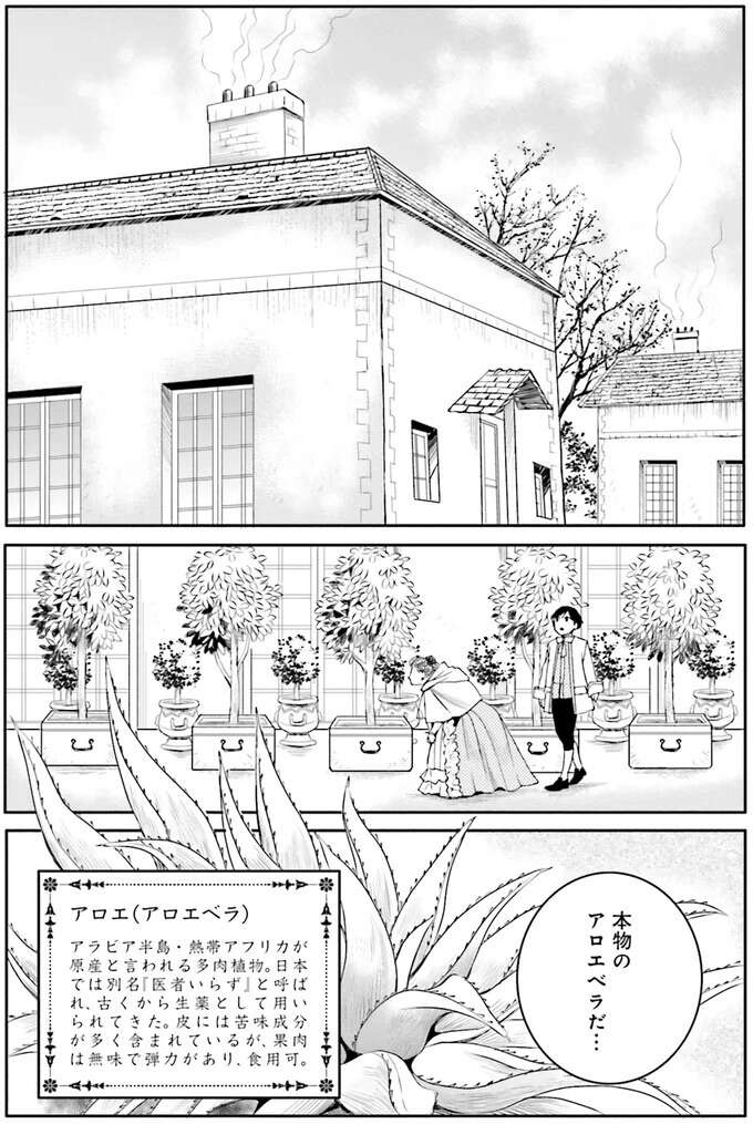 『ラ・マキユーズ～ヴェルサイユの化粧師～　１～５ La maquilleuse』（382）
