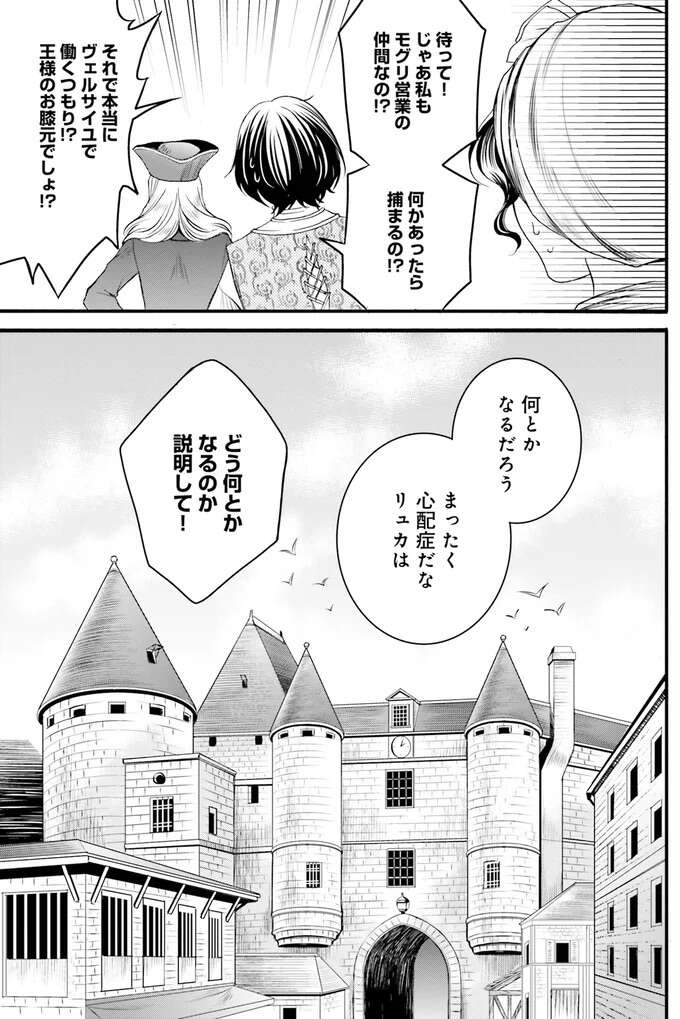 すれ違いが続いた夫婦の間に起きた悲劇。妻が夫に毒物を...？／現代OLが18世紀フランスにタイムスリップしたら2（9）