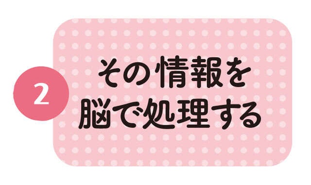 脳が活性化する意外なトレーニング！ 脳トレ博士・川島隆太先生おすすめの「早口ことば」（5）