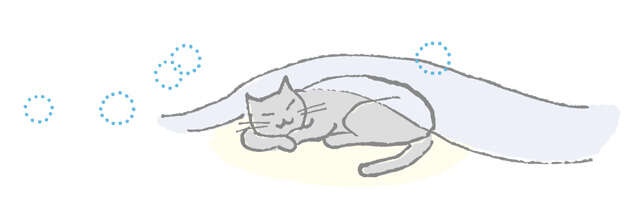 プロが薦める「ぐっすり寝のための寝具のポイント4つ」。寝ても疲れがとれないなら寝具が原因かも！（4）