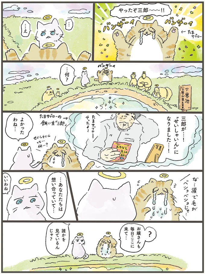 「私は忘れられてるから」寂しそうな猫。天国から飼い主に会いに行くと...／天国での暮らしはどうですか（2）