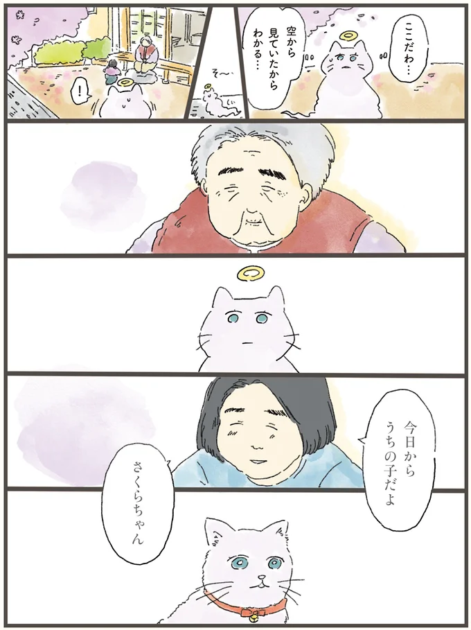 「私は忘れられてるから」寂しそうな猫。天国から飼い主に会いに行くと...／天国での暮らしはどうですか（5）