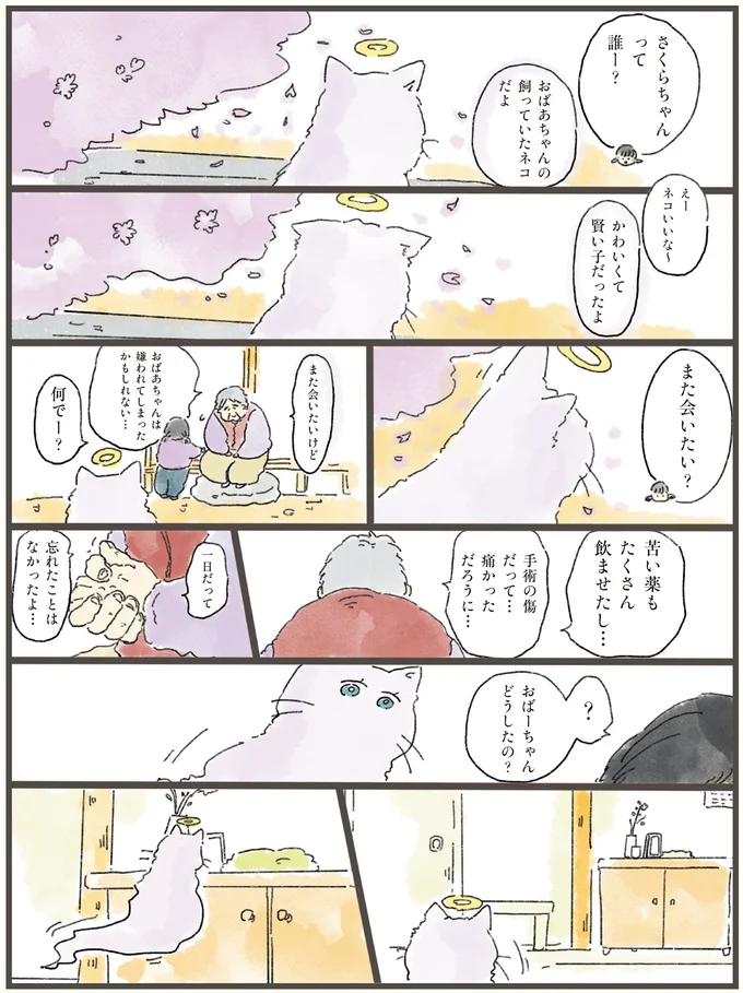 「私は忘れられてるから」寂しそうな猫。天国から飼い主に会いに行くと...／天国での暮らしはどうですか（7）