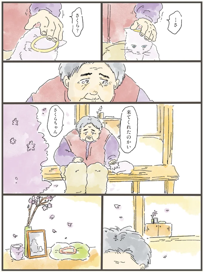 「私は忘れられてるから」寂しそうな猫。天国から飼い主に会いに行くと...／天国での暮らしはどうですか（9）