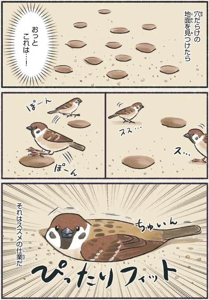 『意外と知らない鳥の生活 1〜2』（2）
