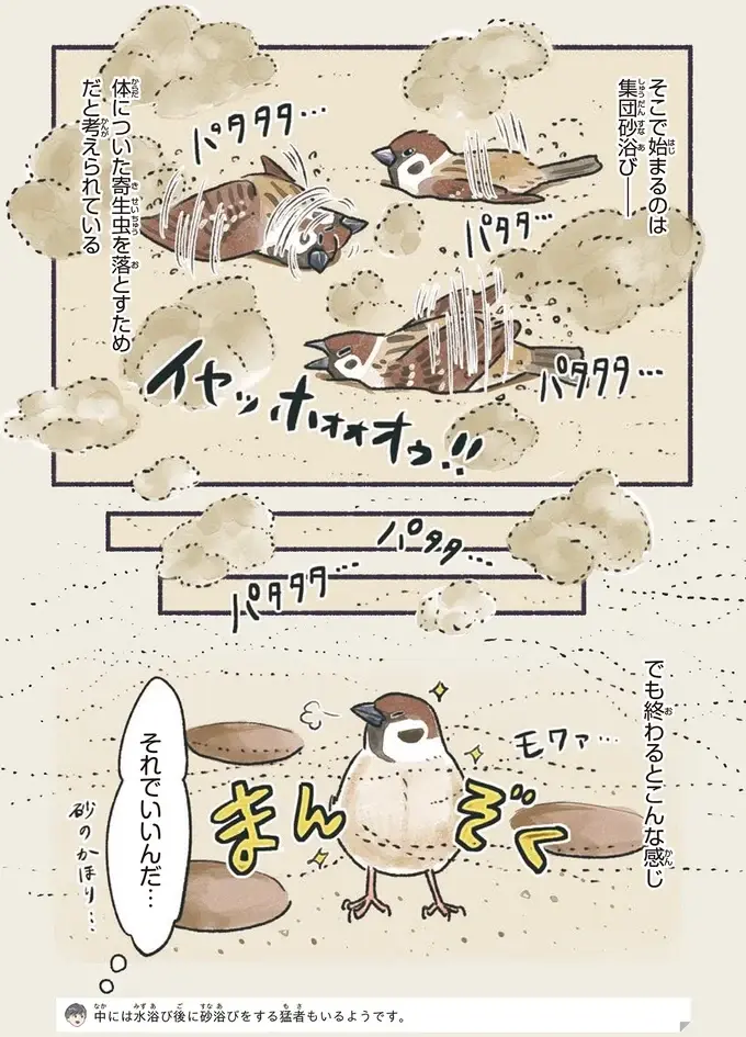 『意外と知らない鳥の生活 1〜2』（3）