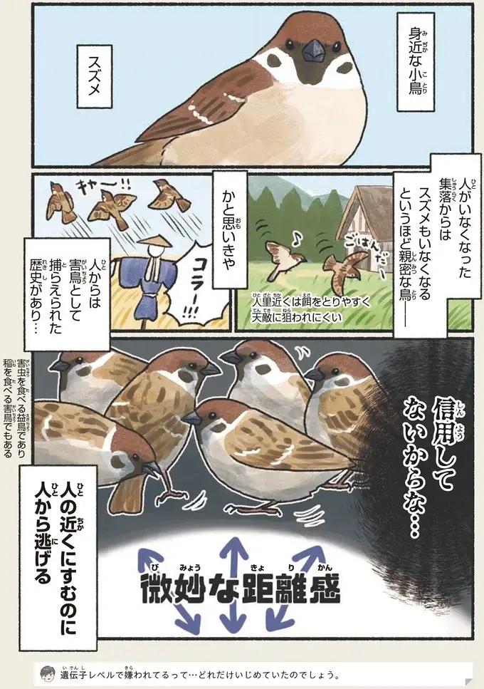 『意外と知らない鳥の生活 1〜2』（4）