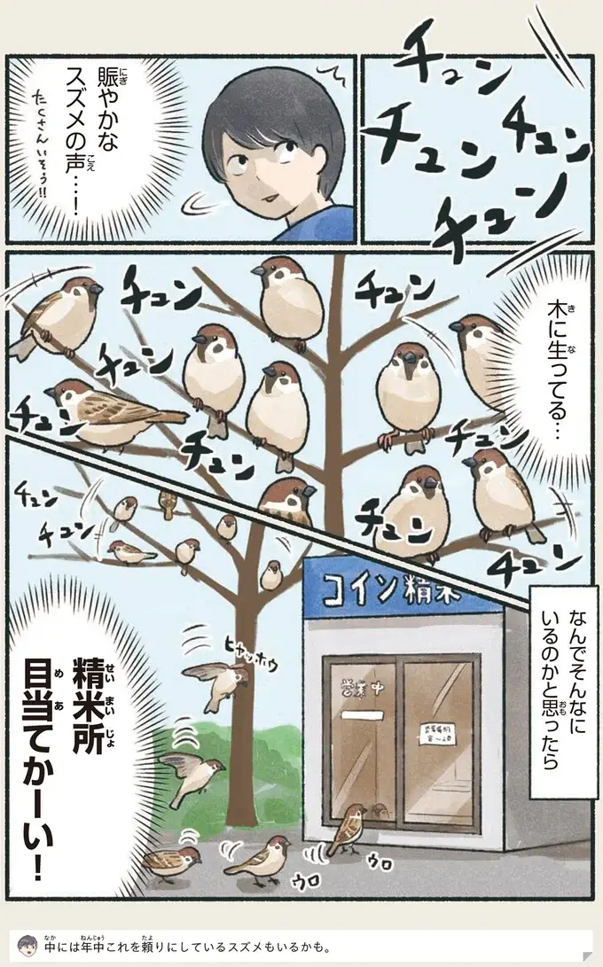 『意外と知らない鳥の生活 1〜2』（5）