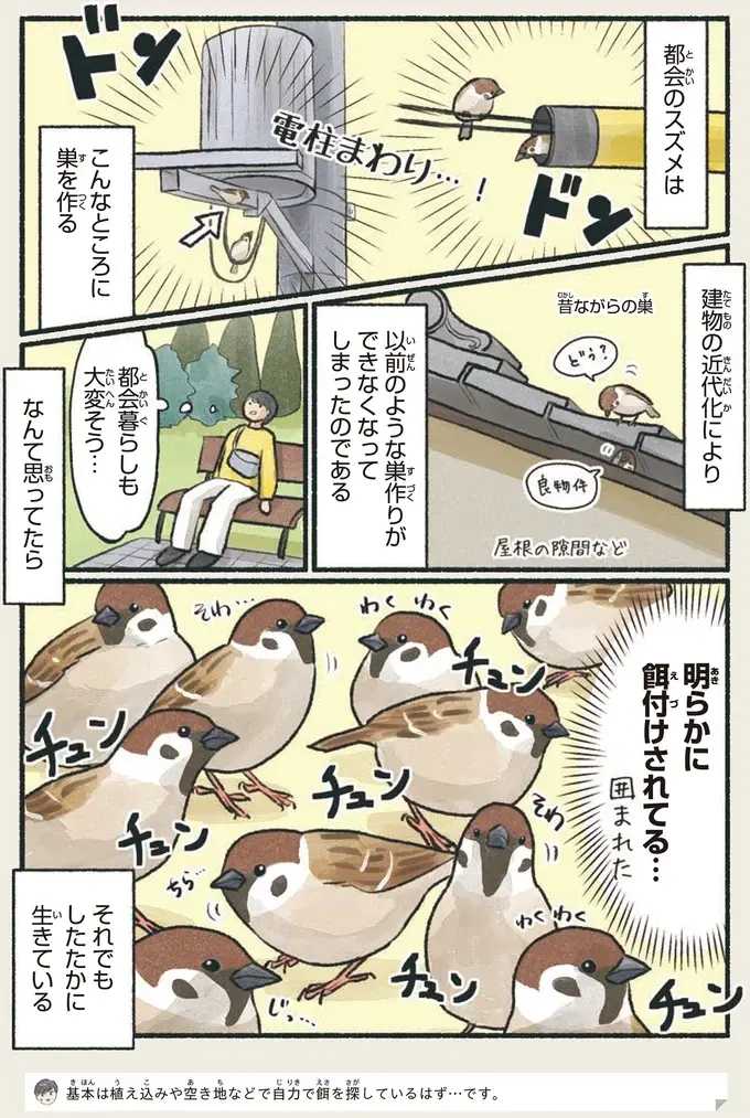 『意外と知らない鳥の生活 1〜2』（6）