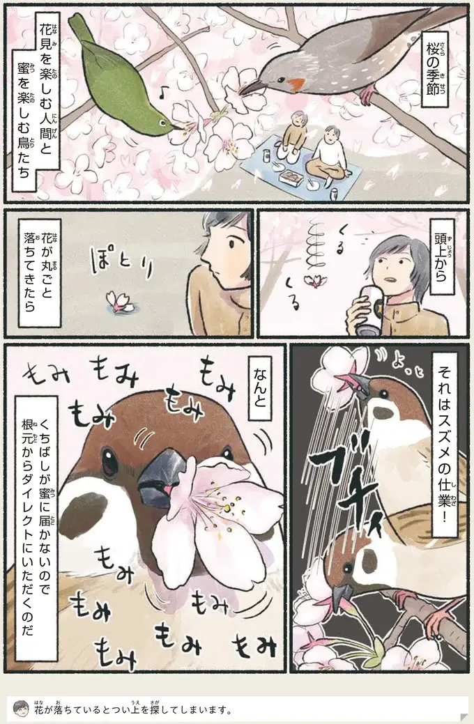 『意外と知らない鳥の生活 1〜2』（7）
