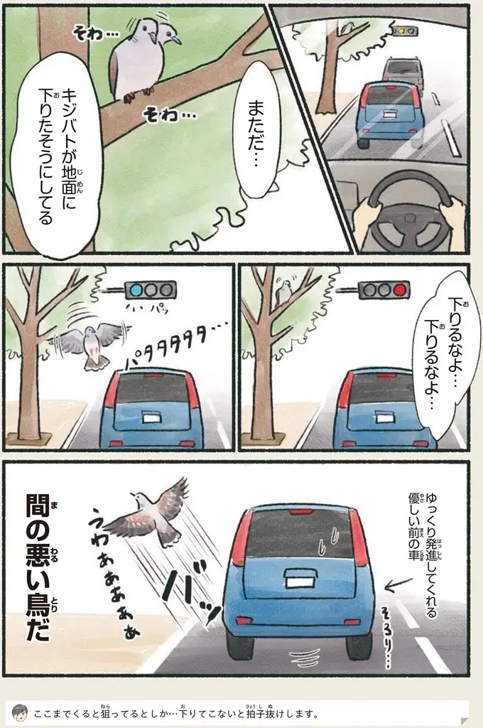 『意外と知らない鳥の生活 1〜2』（9）
