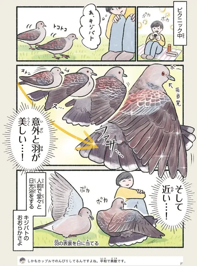 『意外と知らない鳥の生活 1〜2』（10）