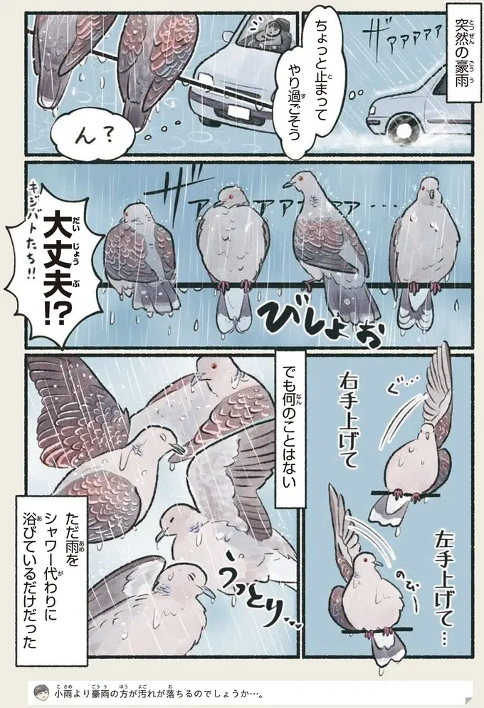 『意外と知らない鳥の生活 1〜2』（11）