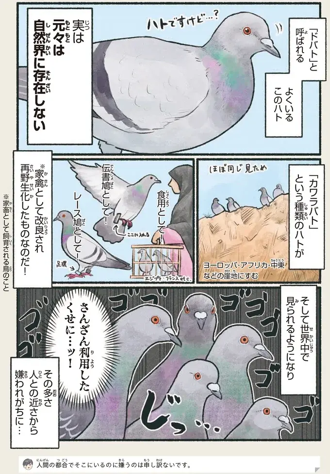 『意外と知らない鳥の生活 1〜2』（12）