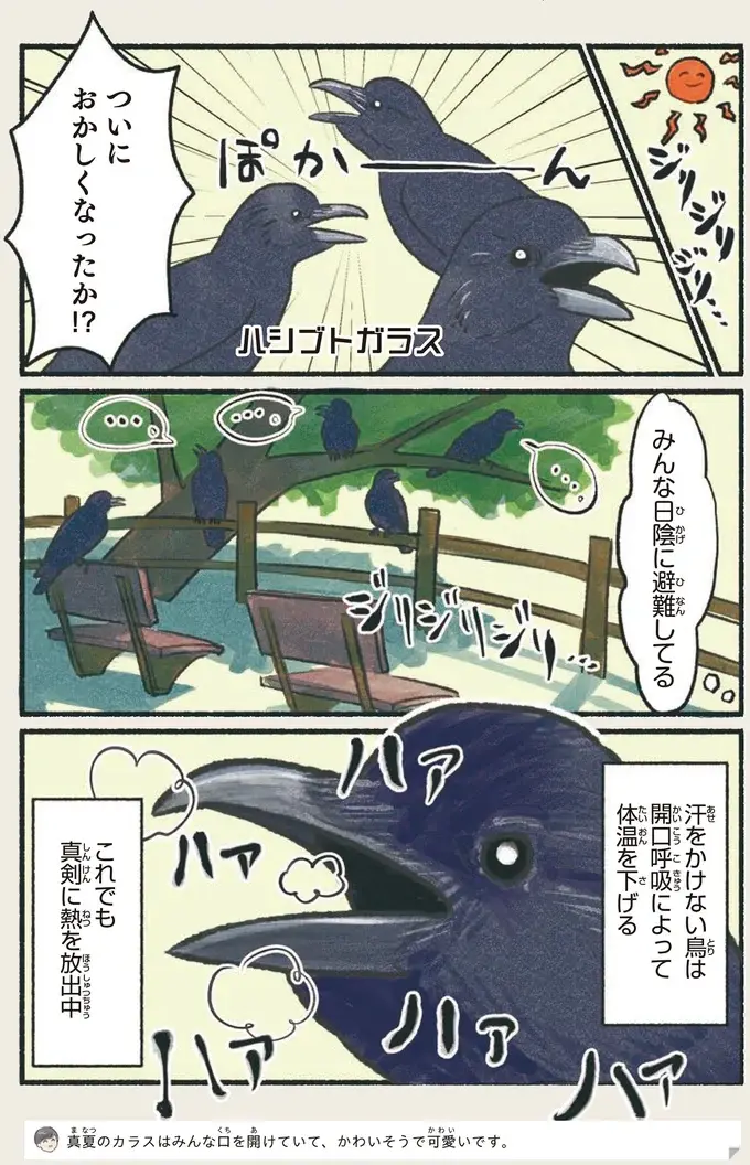 『意外と知らない鳥の生活 1〜2』（14）