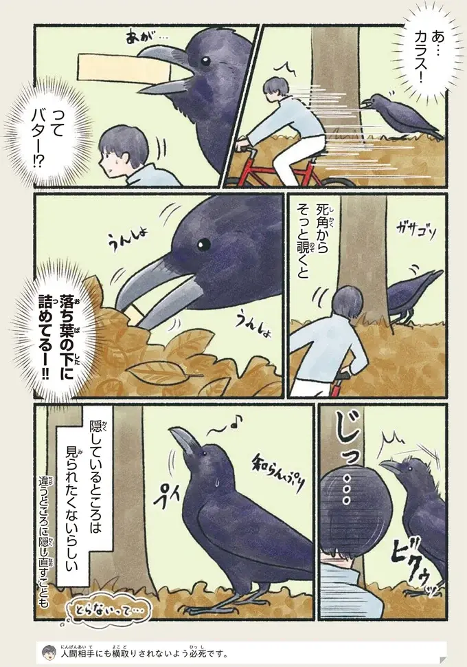 『意外と知らない鳥の生活 1〜2』（17）